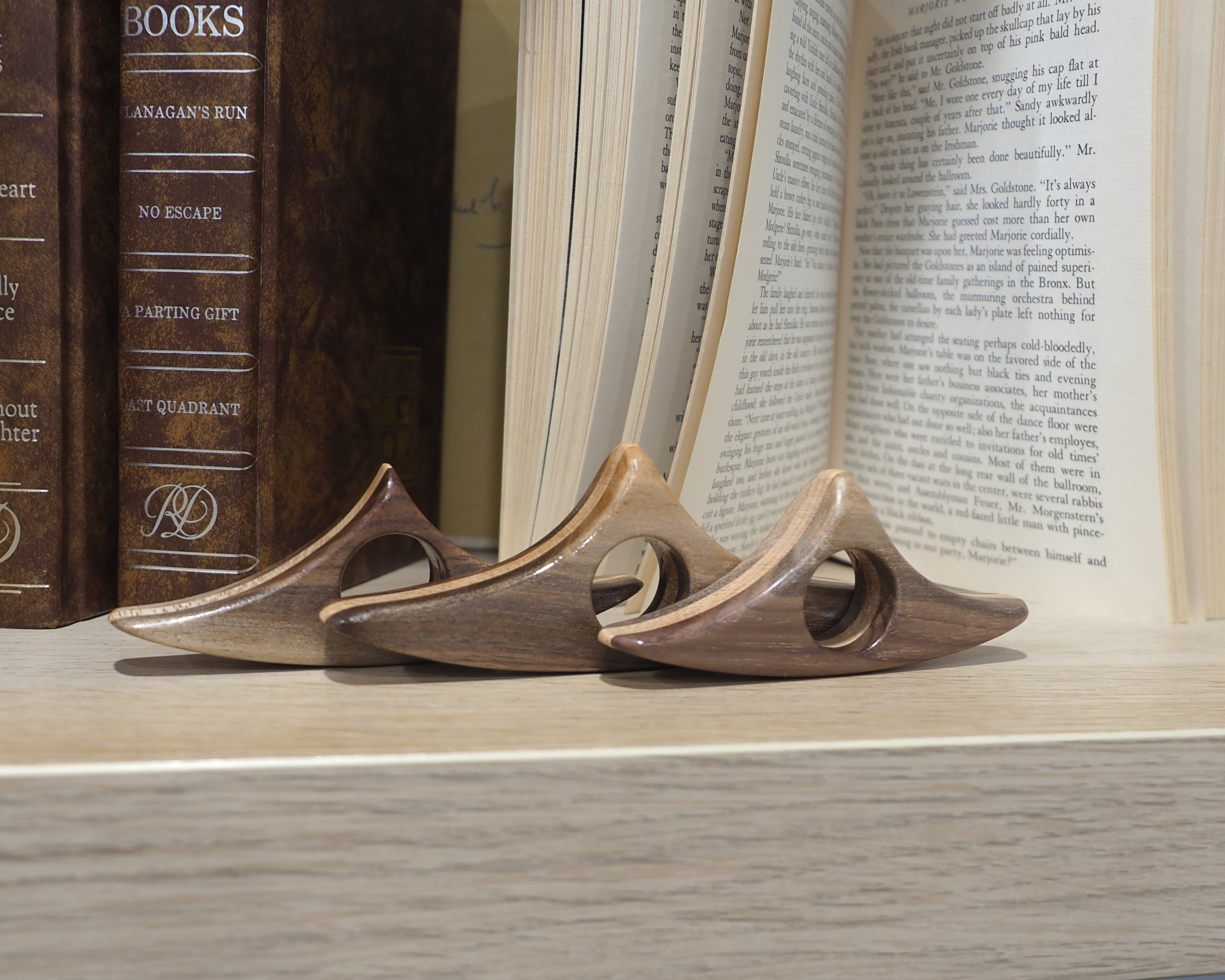 LIMITED Bi-Color Fading Book Holder