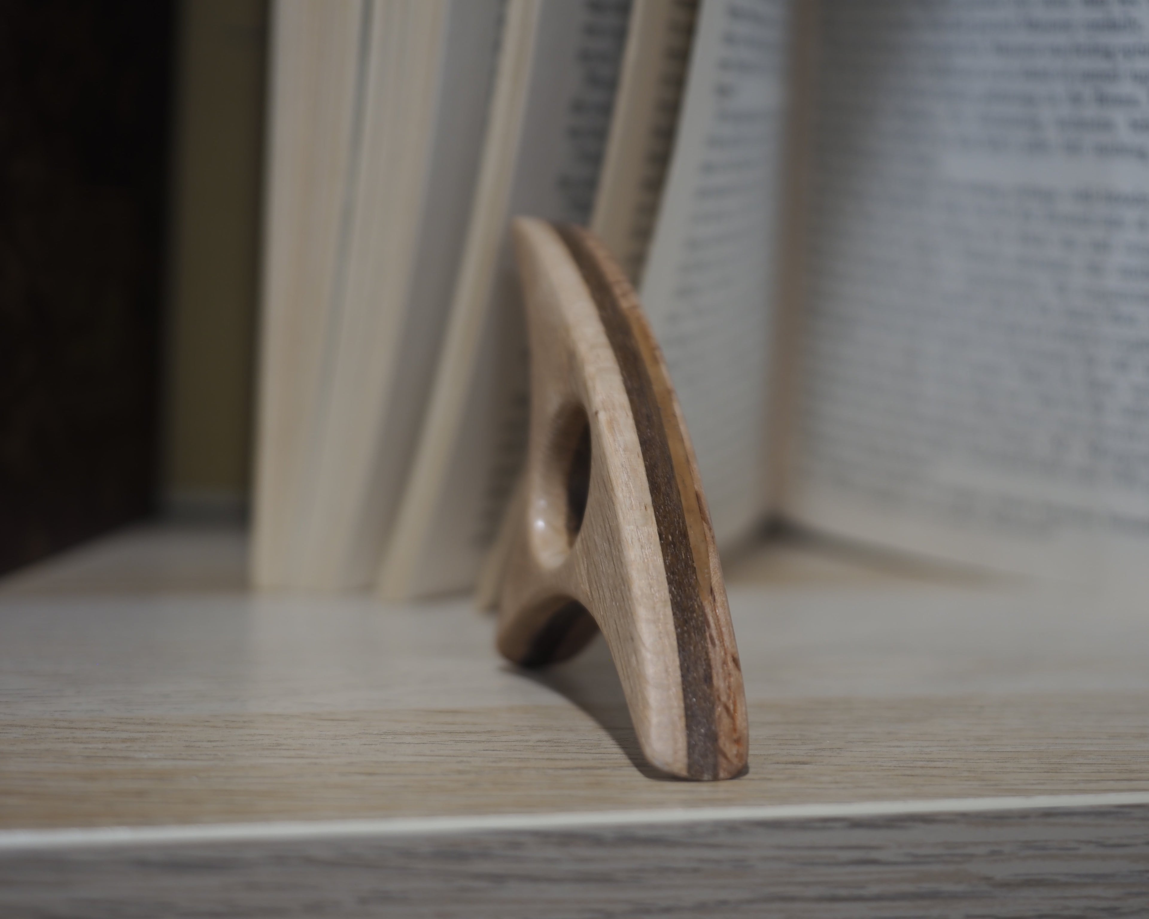 LIMITED Tri-Color Book Holder