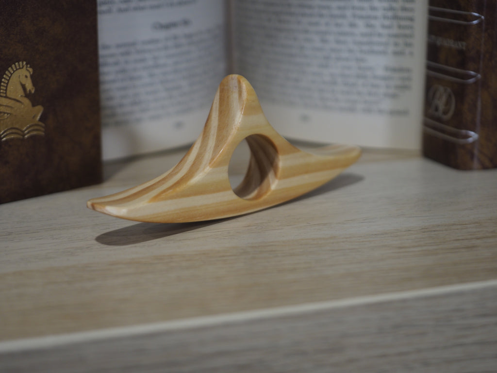 LIMITED Striped Book Holder