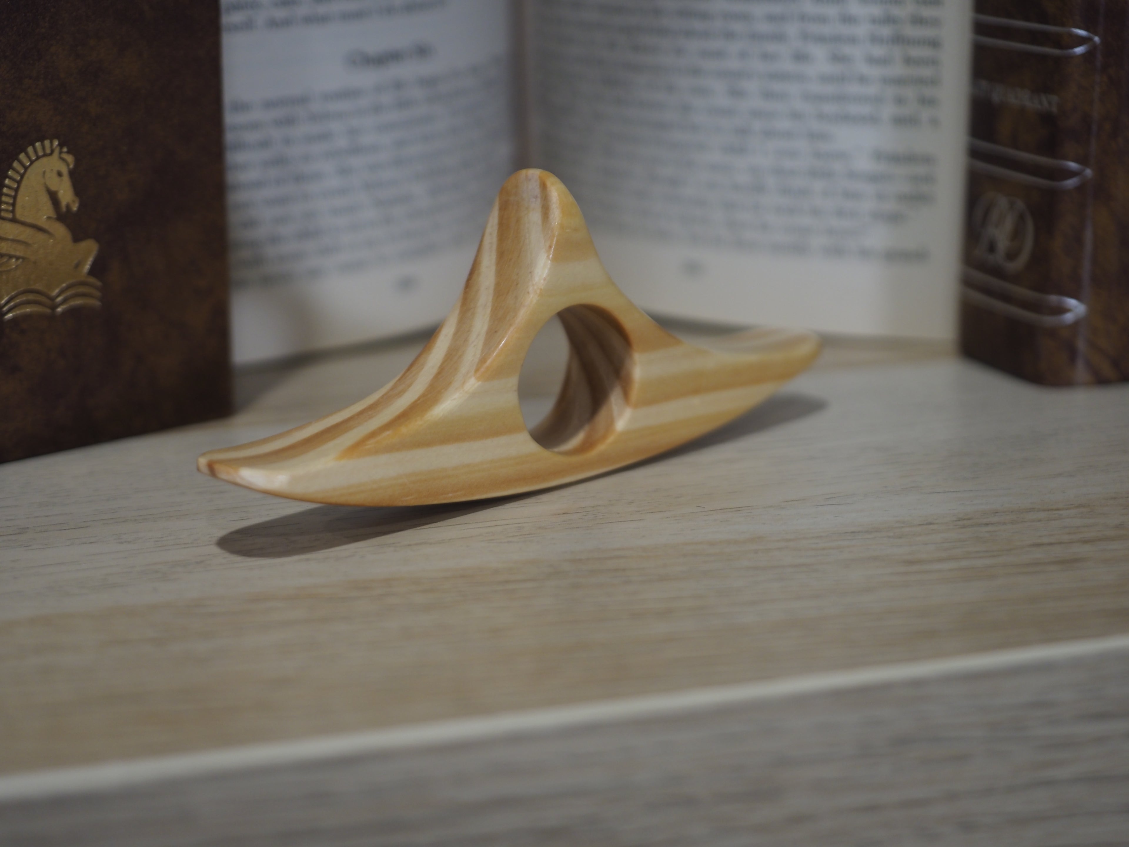 LIMITED Striped Book Holder