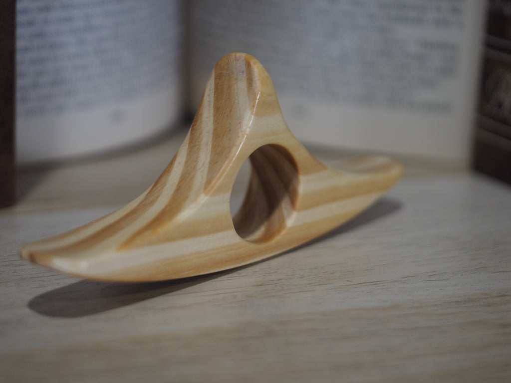 LIMITED Striped Book Holder