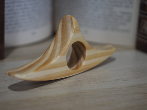 LIMITED Striped Book Holder