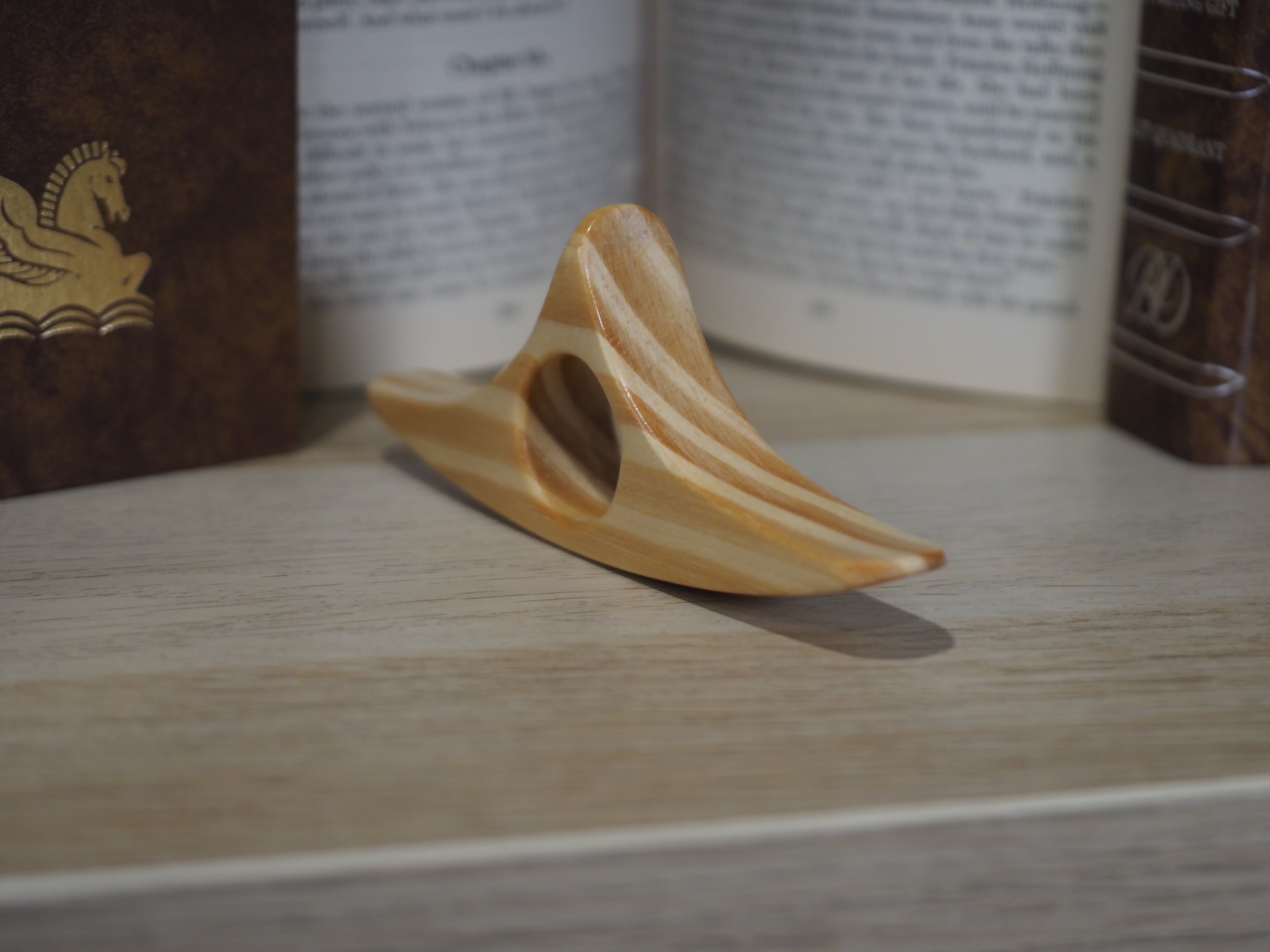 LIMITED Striped Book Holder